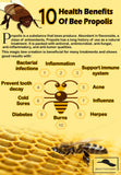 Super Natural Bee Propolis - Sữa Ong Chúa