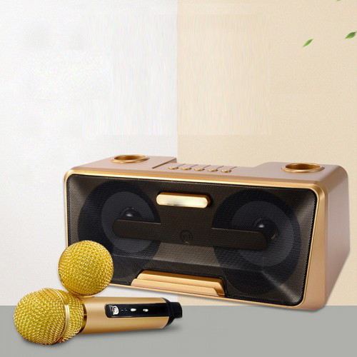 Karaoke Machine - Wireless Microphone (Máy Karaoke Di Động)