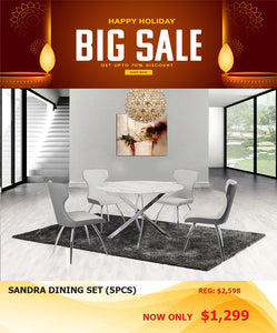 ARDNAS Sandra White Gray Chrome 5pc Dining Room Set